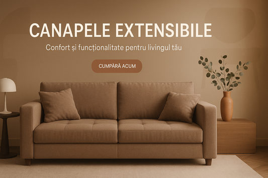 Canapele Extensibile la Comandă în Sibiu