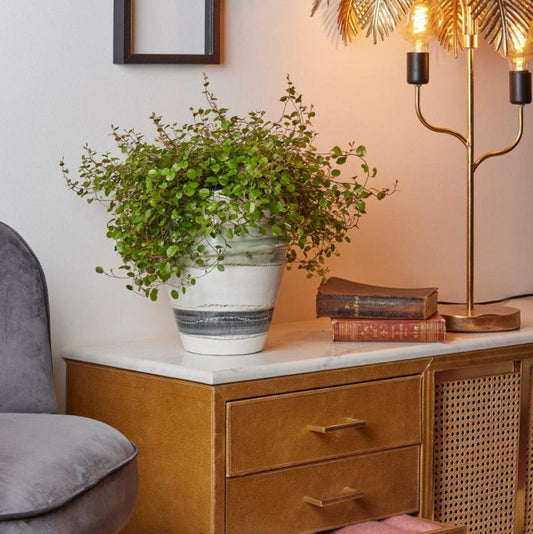 Vaza Fenicia H 29 cm