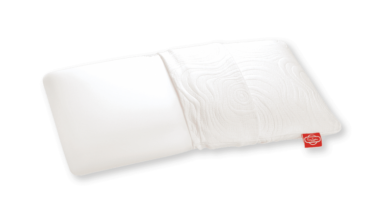 Perna memory Riviera